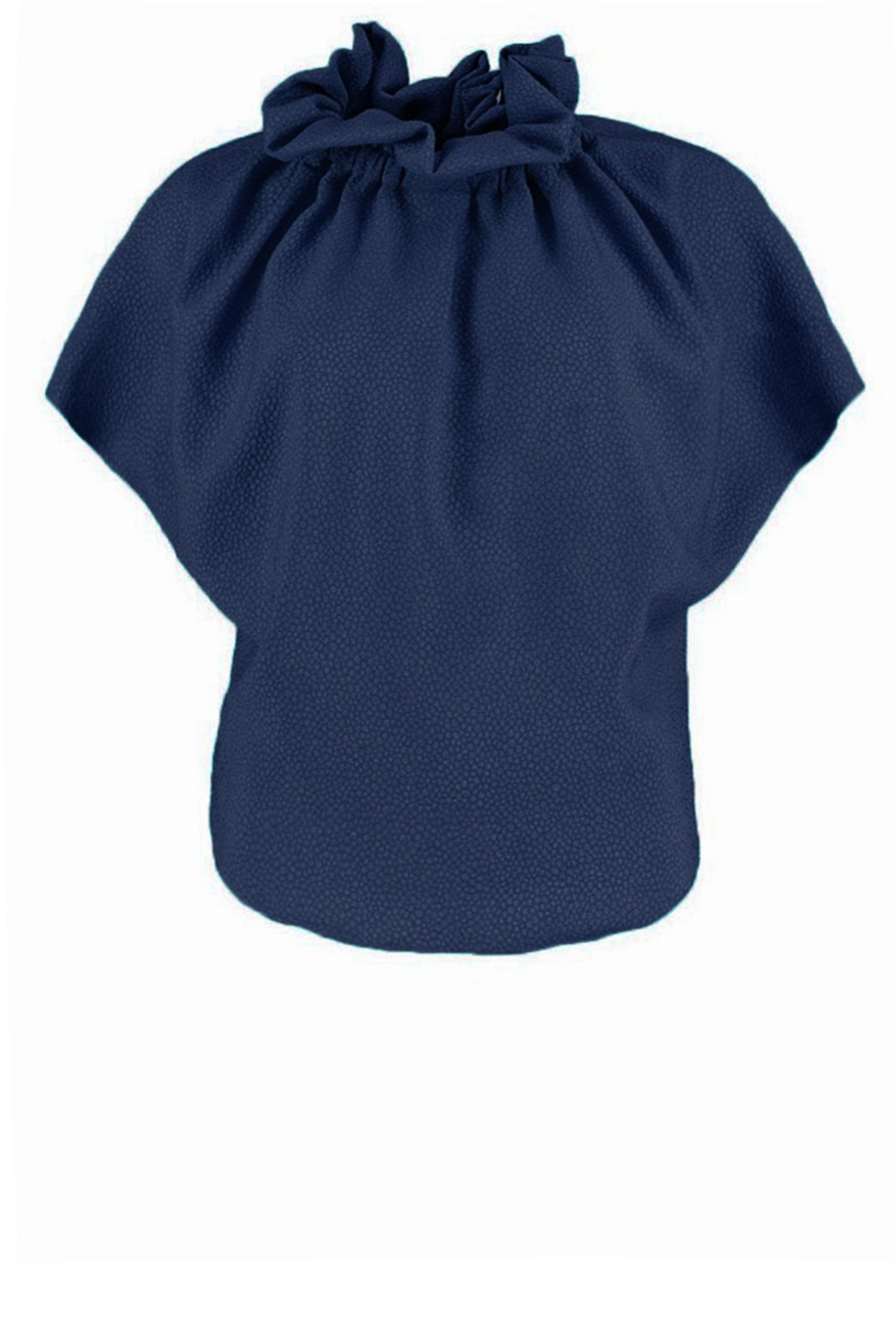 Ruff Blouse