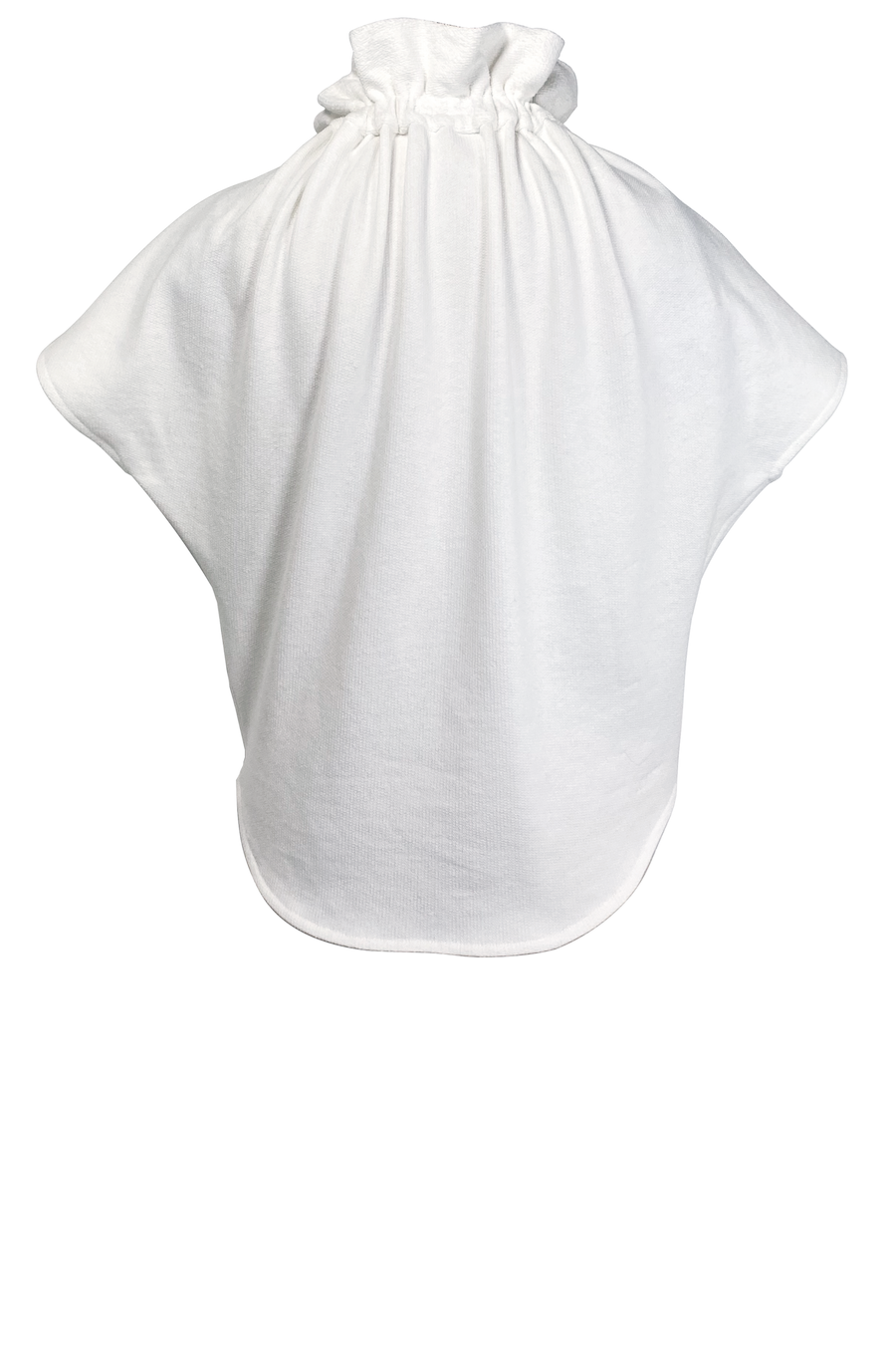 Ruff Blouse