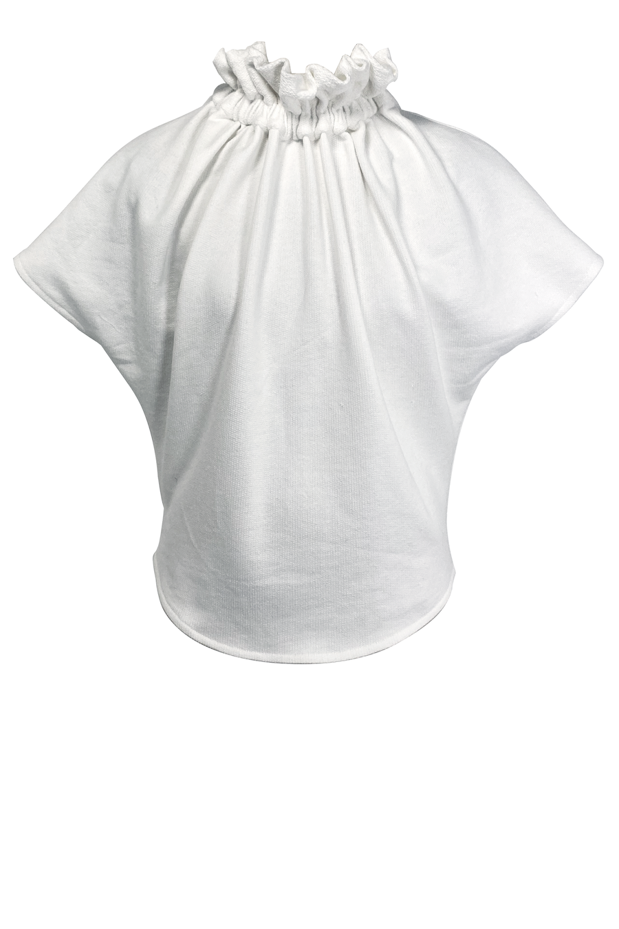 Ruff Blouse
