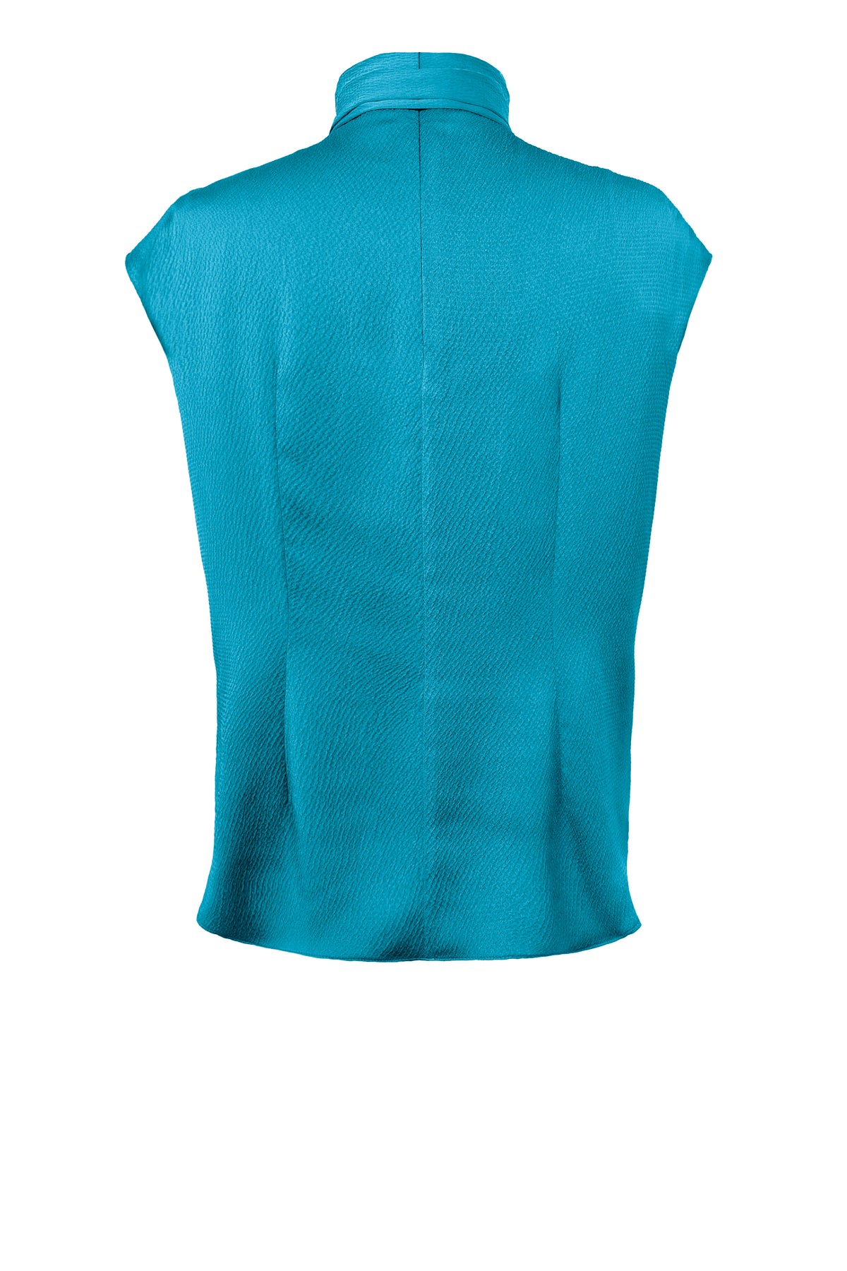 Ribbon Neck Blouse
