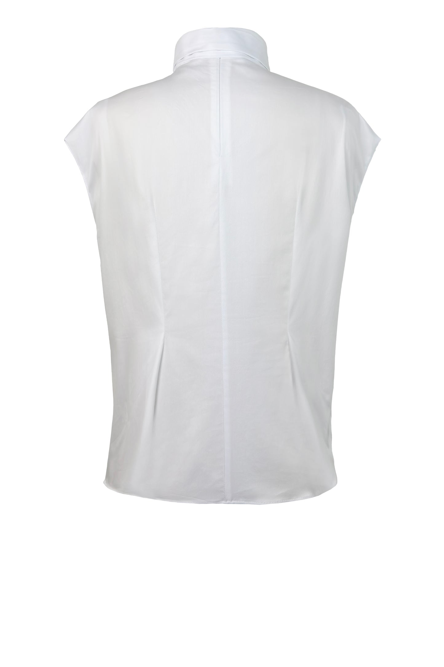 Ribbon Neck Blouse