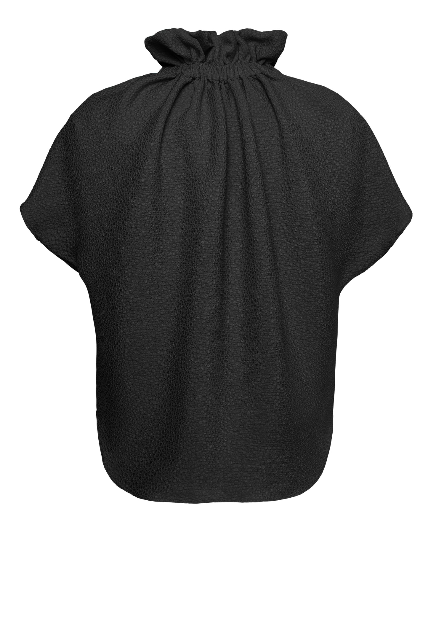 Ruff Blouse