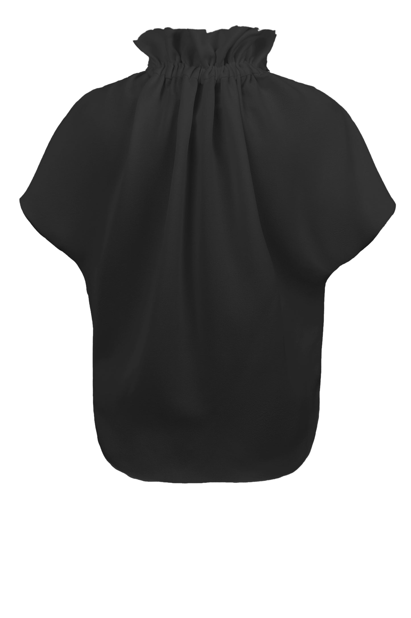 Ruff Blouse