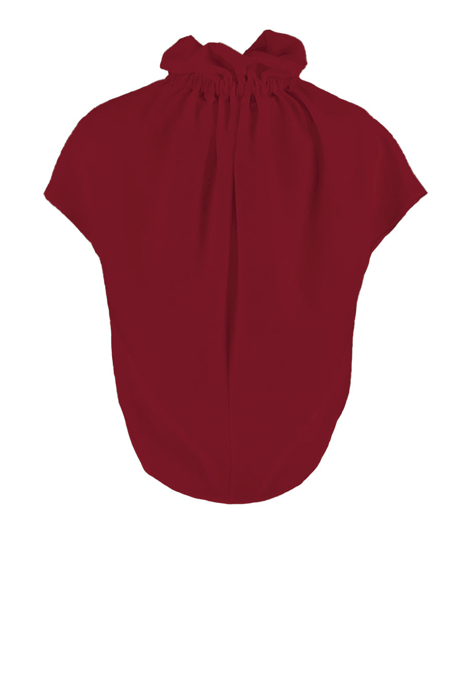 Ruff Blouse