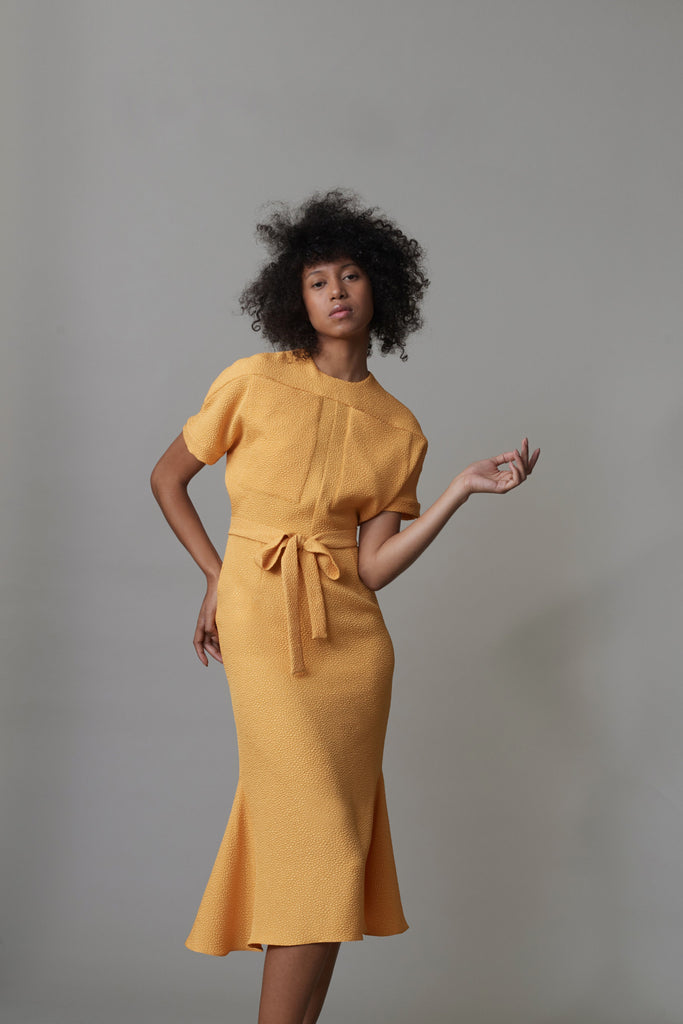 Pocket Puppet Dress