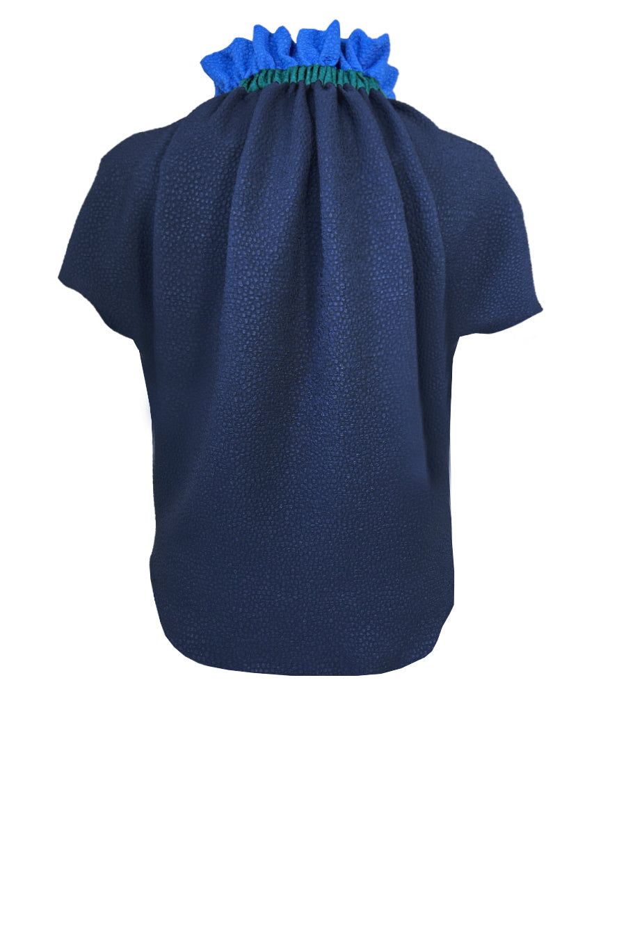 Ruff Blouse