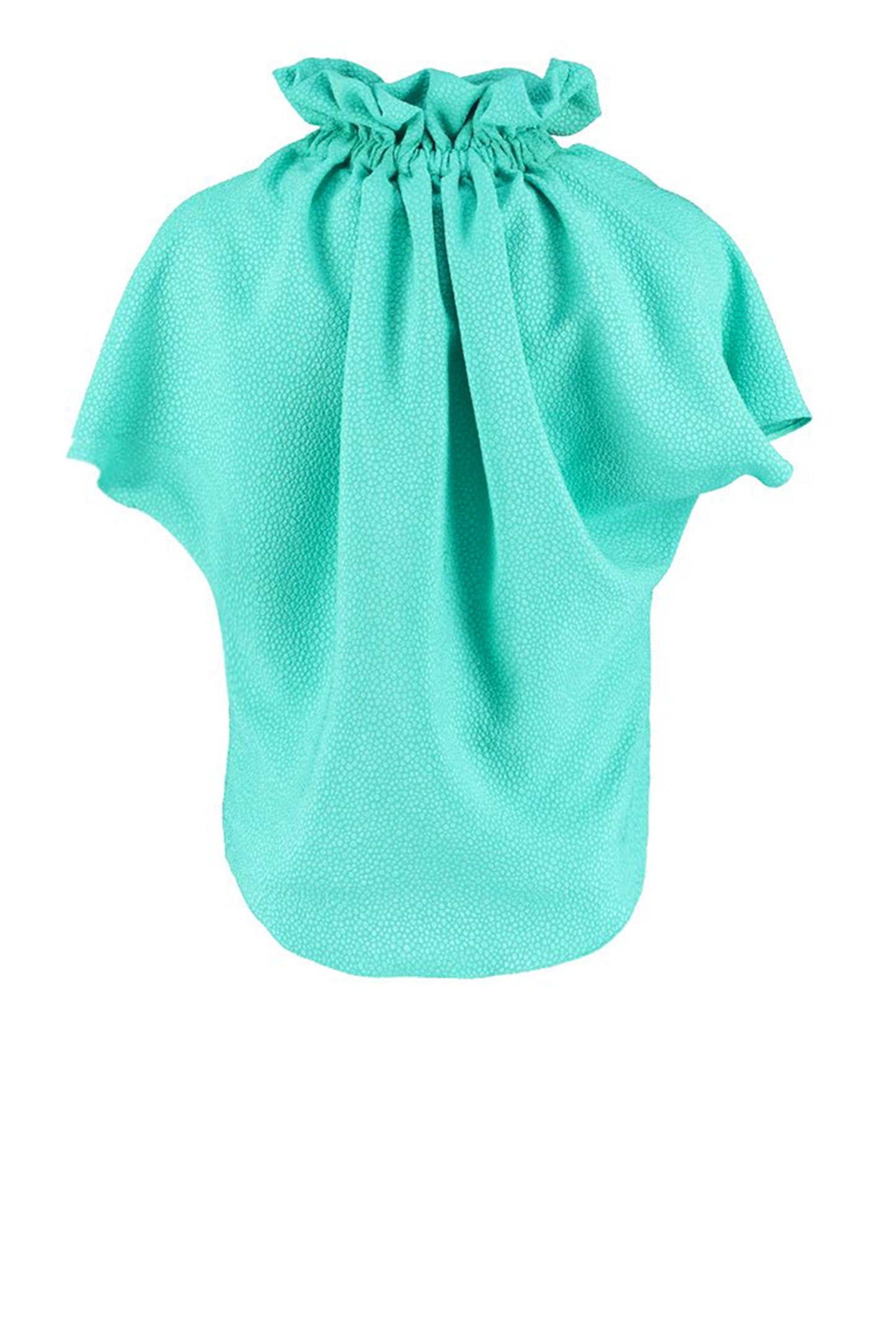 Ruff Blouse