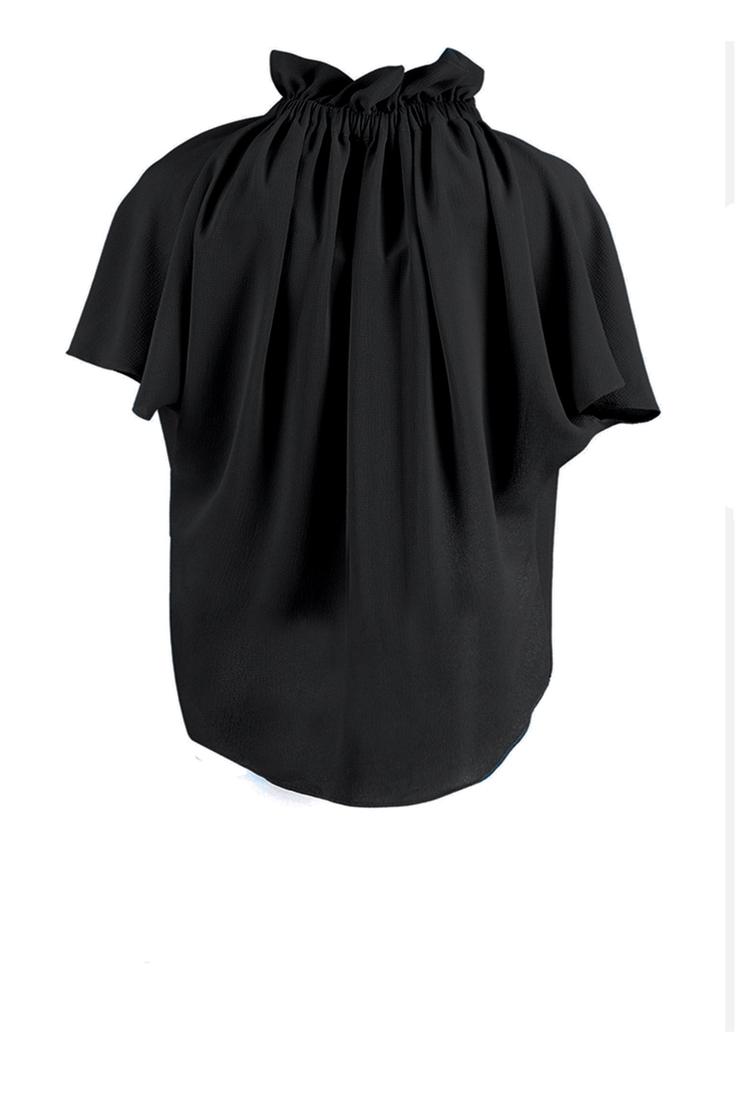 Ruff Blouse
