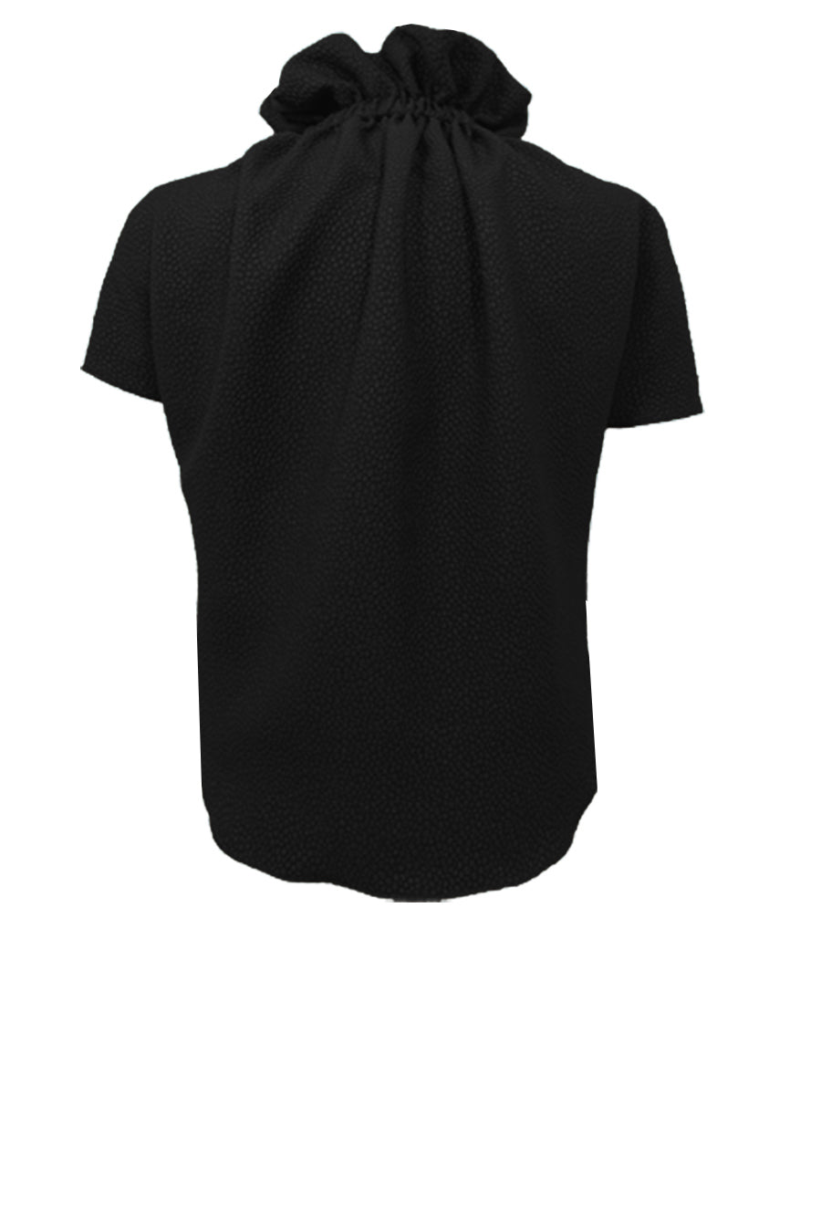 Ruff Blouse