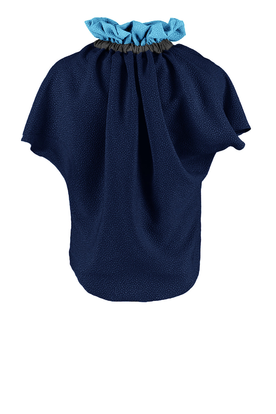 Ruff Blouse