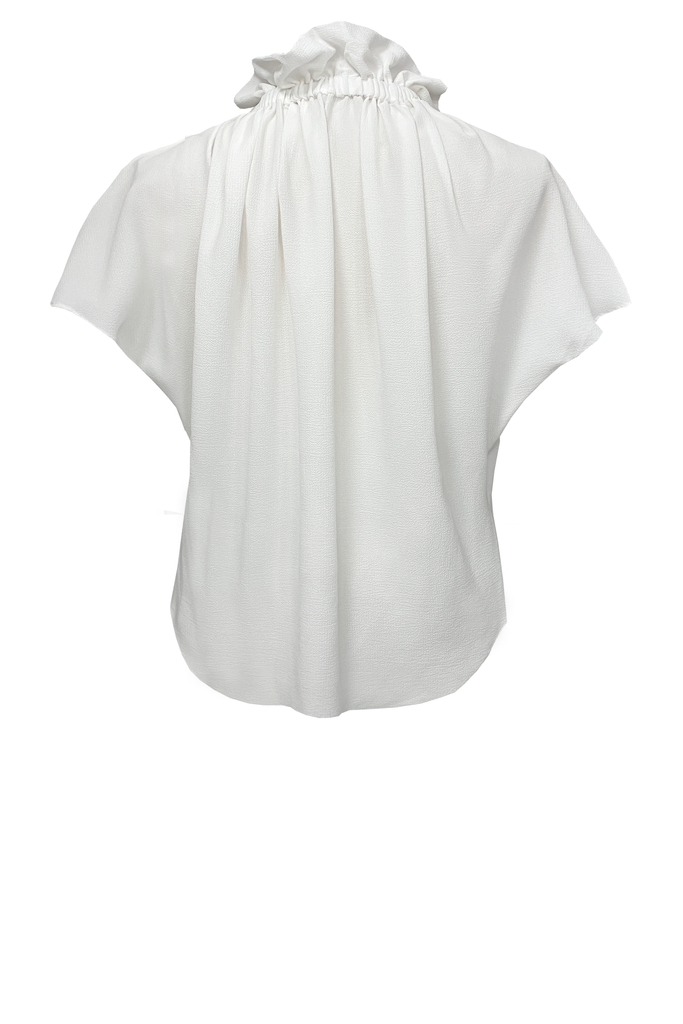 Ruff Blouse