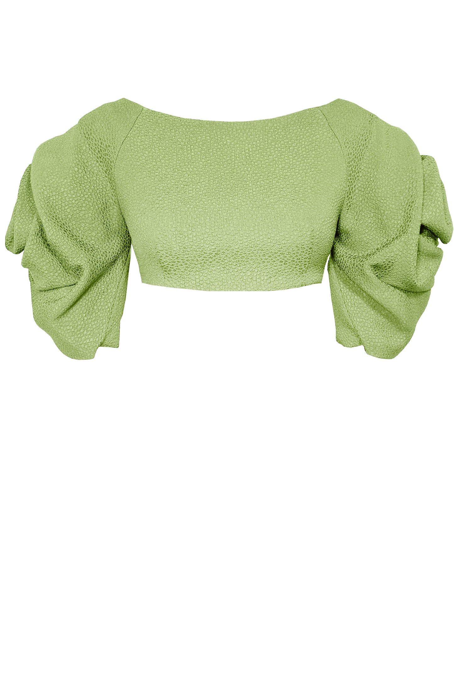 Aphrodite Sleeve Crop Top