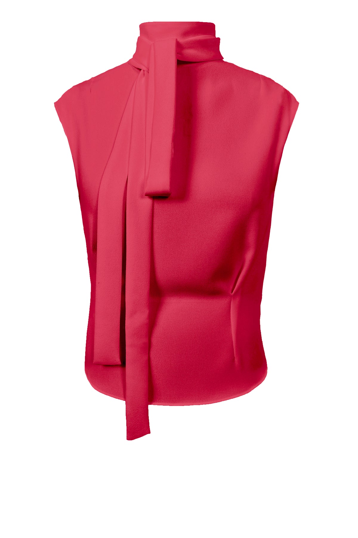Ribbon Neck Blouse