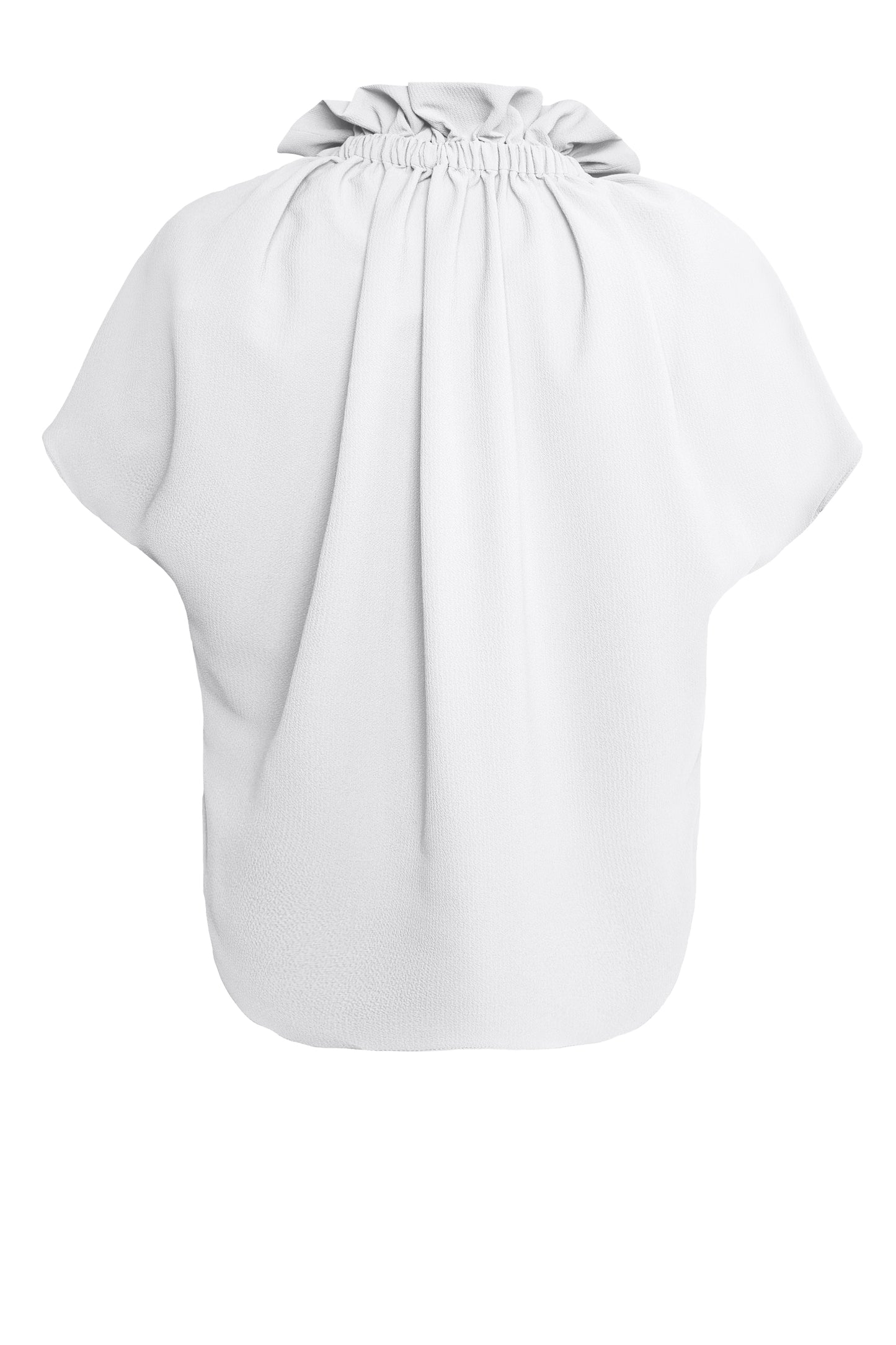 Ruff Blouse