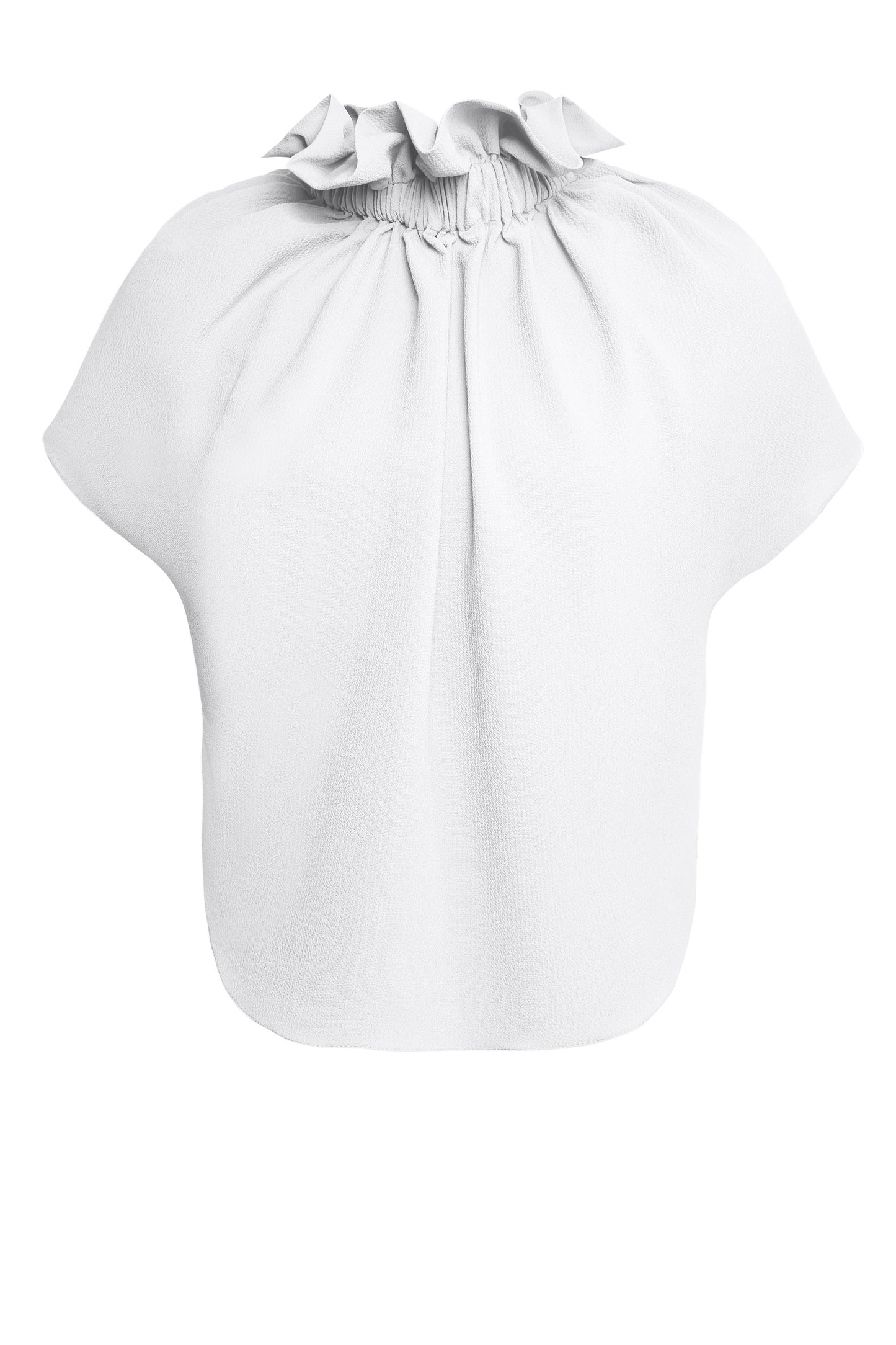Ruff Blouse
