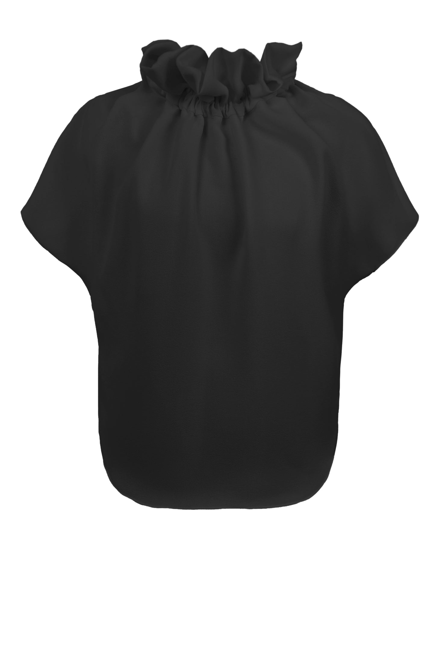 Ruff Blouse