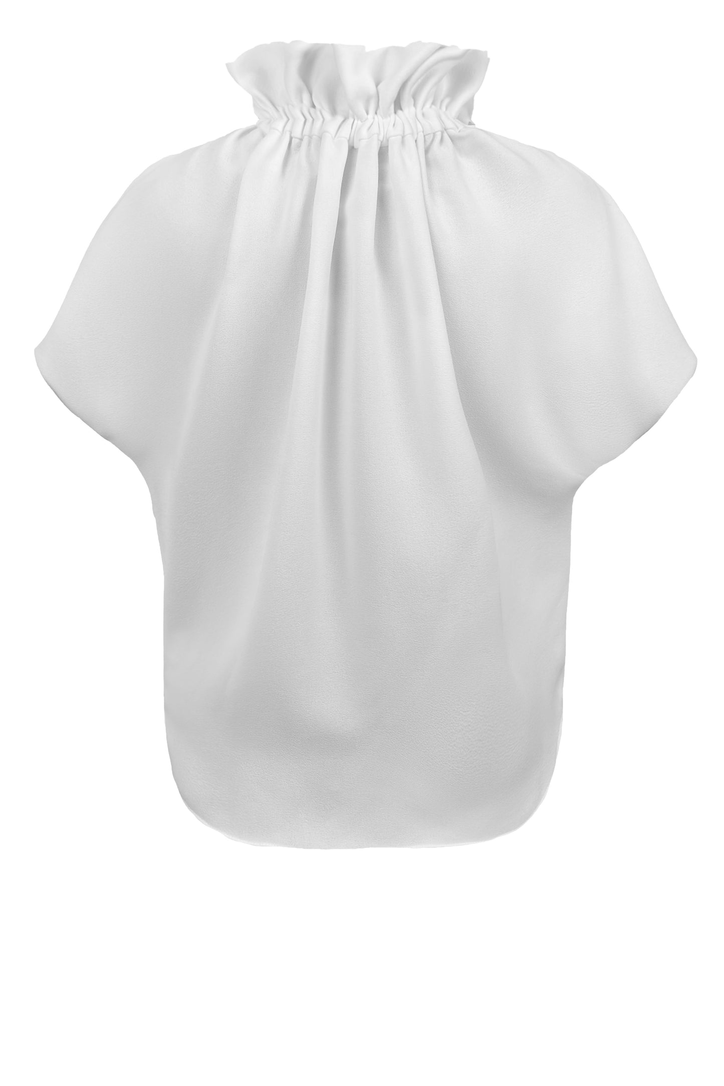 Ruff Blouse