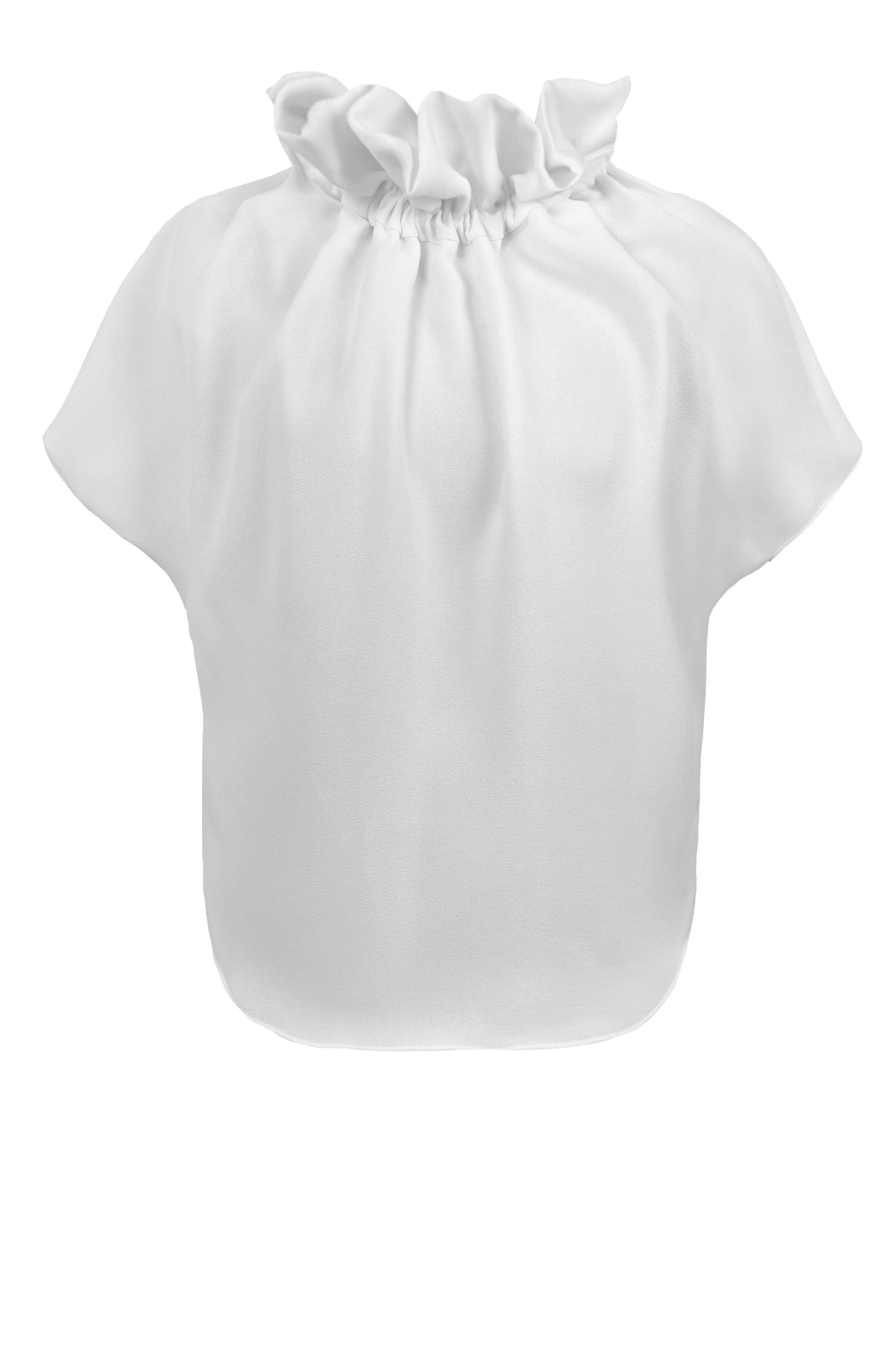 Ruff Blouse