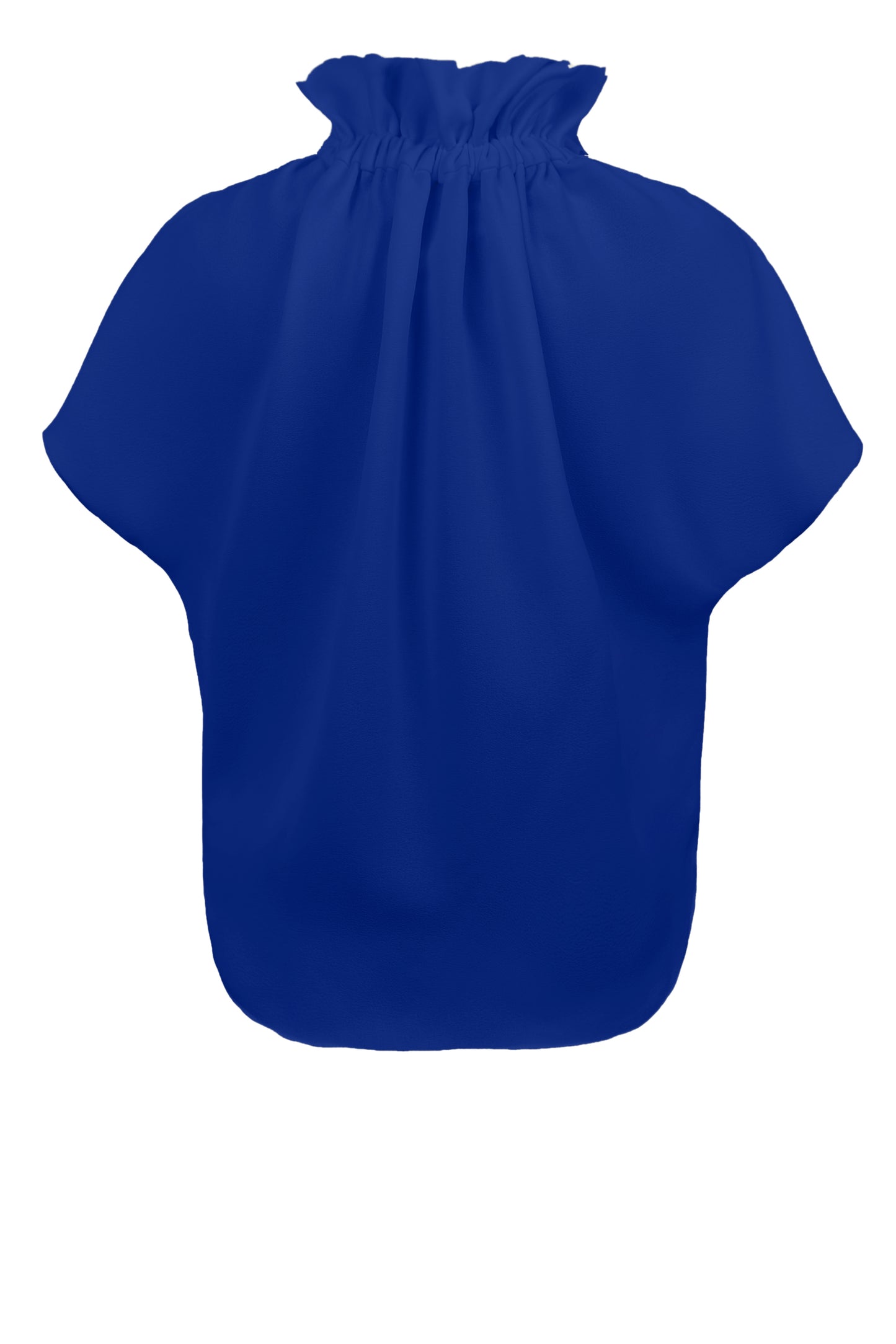 Ruff Blouse