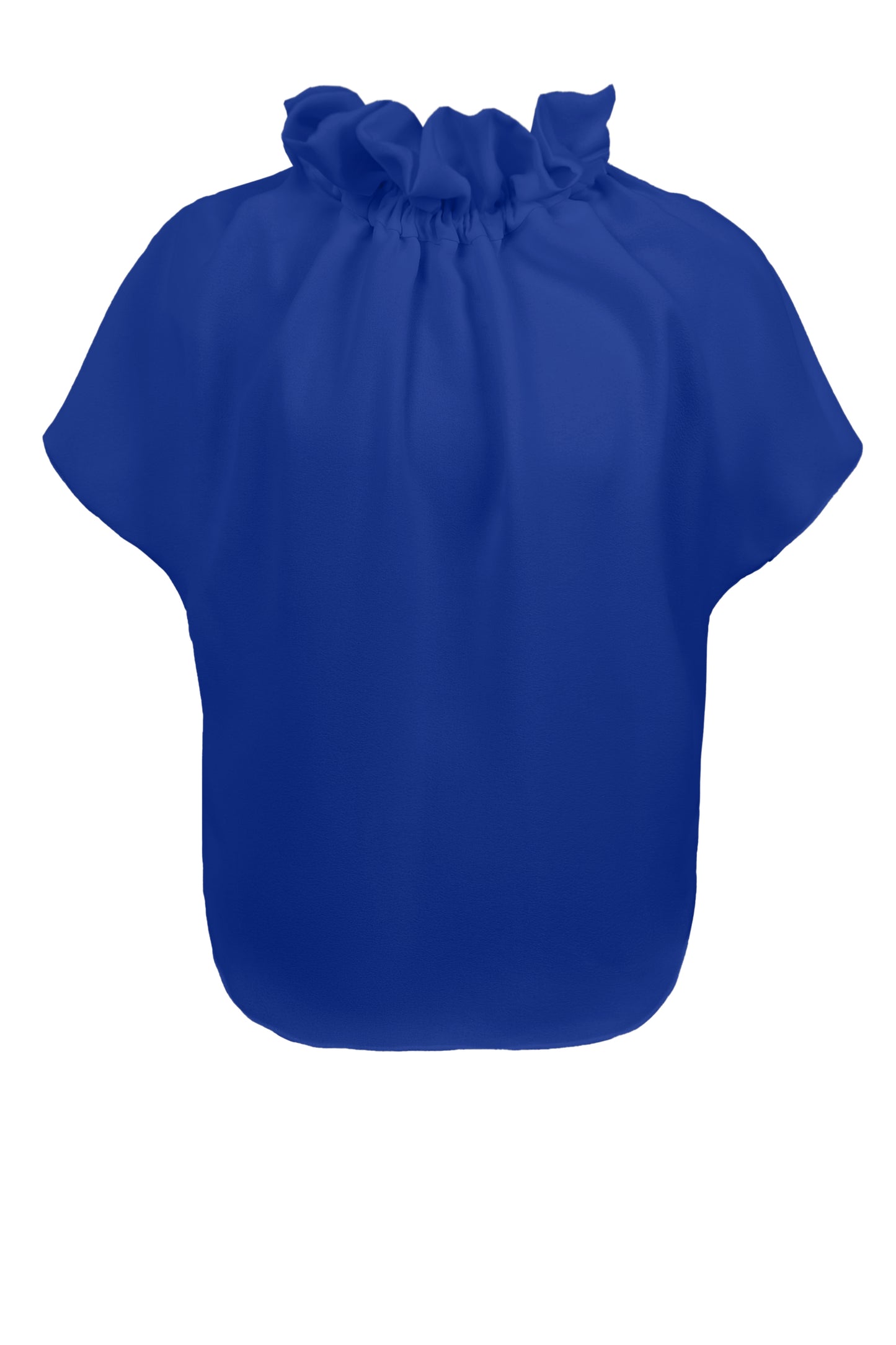 Ruff Blouse